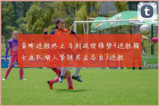黄蜂连胜终止马刺延续强势4连胜骑士鹿队湖人紧随其后各自3连胜