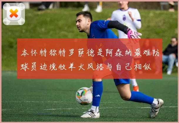 本怀特称特罗萨德是阿森纳最难防球员边境牧羊犬风格与自己相似