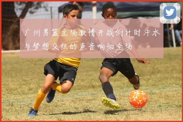 广州男篮主场激情开战倒计时汗水与梦想交织的声音响彻全场